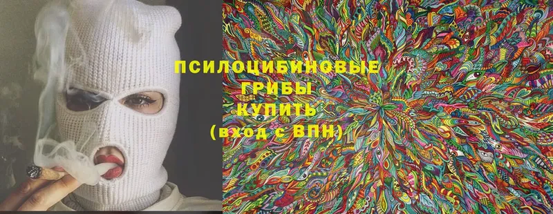 Галлюциногенные грибы Magic Shrooms  Тетюши 